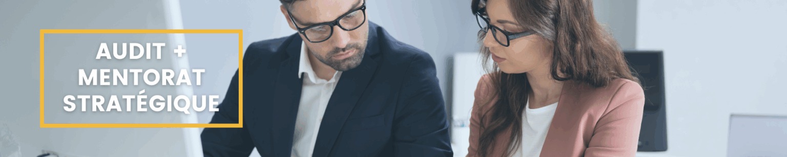 Audit + Mentorat stratégique